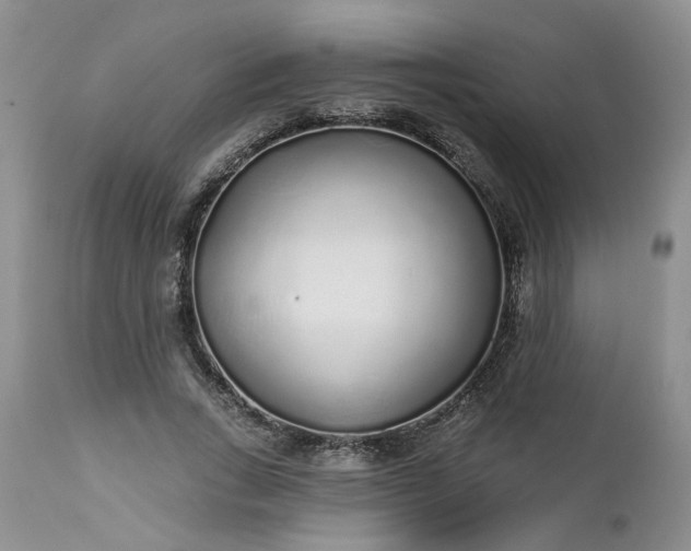 X0000112520735200908311357