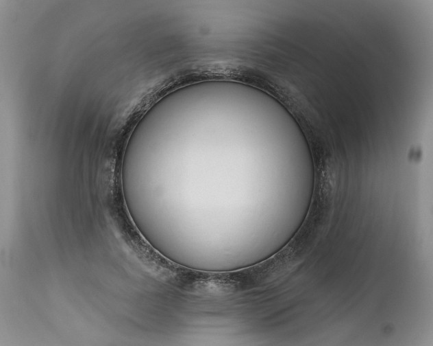 X0000112520739200908311357