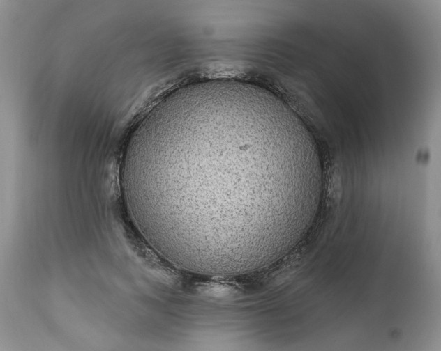X0000112520743200908311357