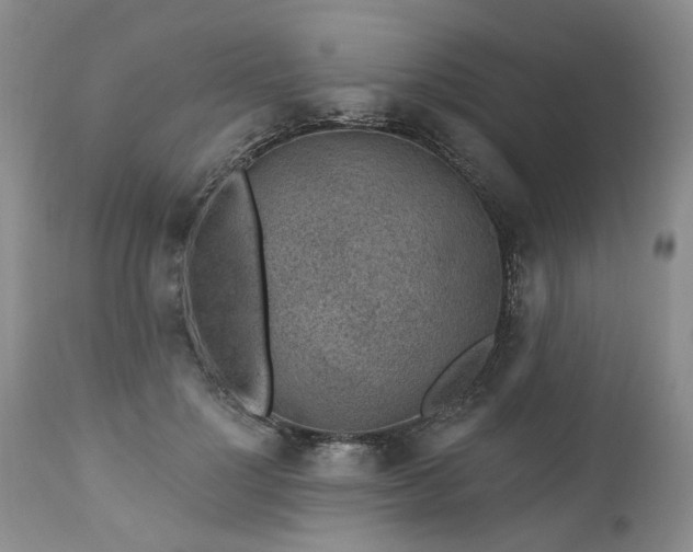 X0000112520748200908311357