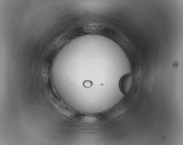 X0000112520749200908311357