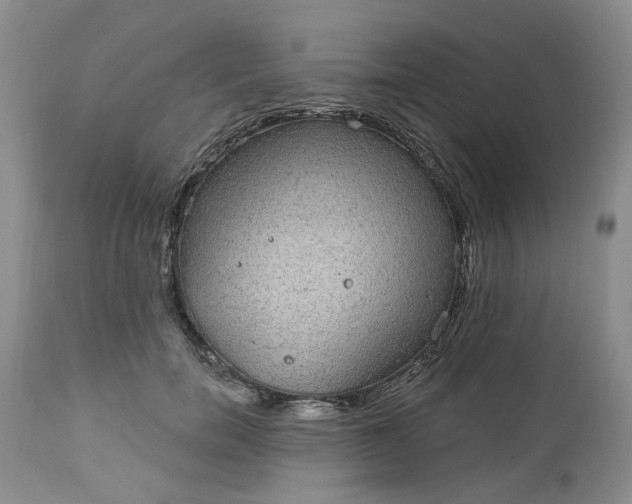 X0000112520750200908311357