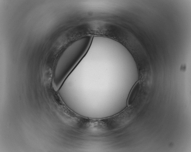 X0000112520752200908311357