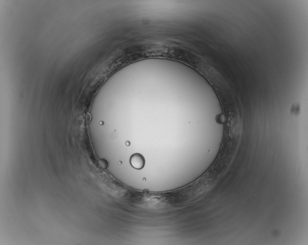 X0000112520753200908311357