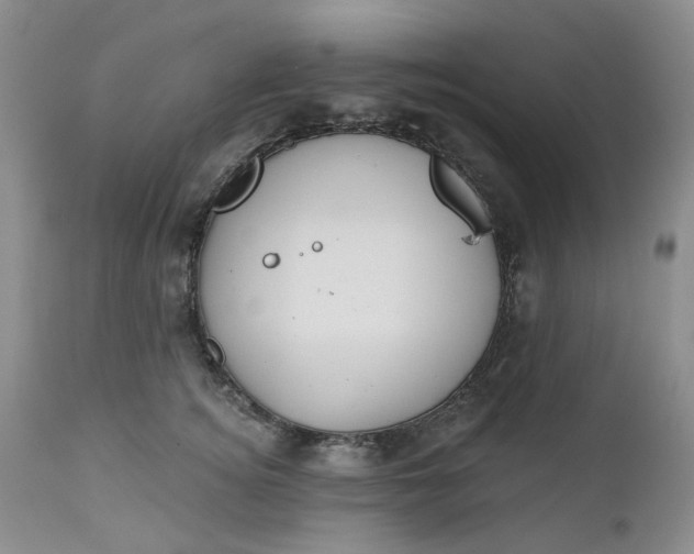 X0000112520756200908311357