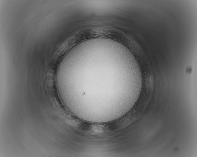 X0000112520757200908311357