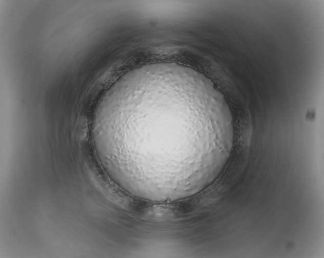 X0000112520758200908311357