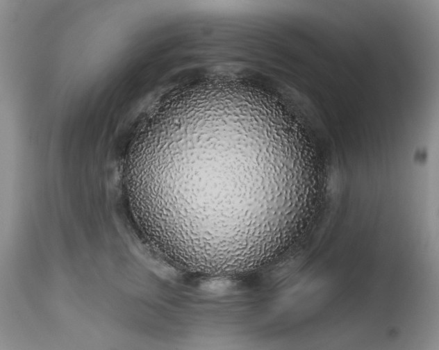 X0000112520759200908311357
