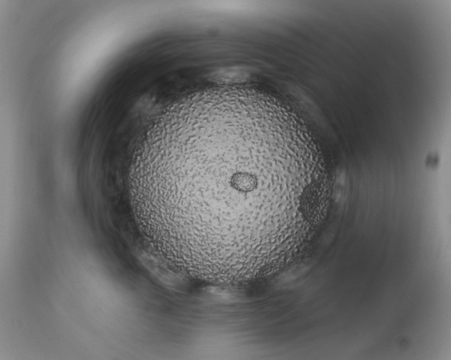 X0000112520763200908311357