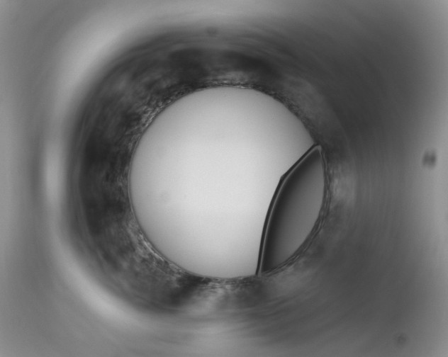 X0000112520764200908311357