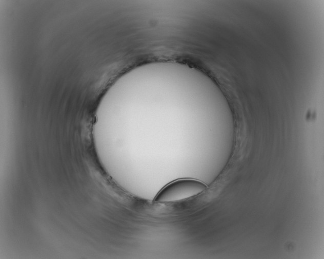 X0000112520768200908311357