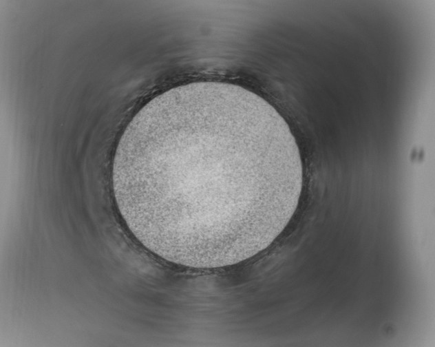 X0000112520769200908311357