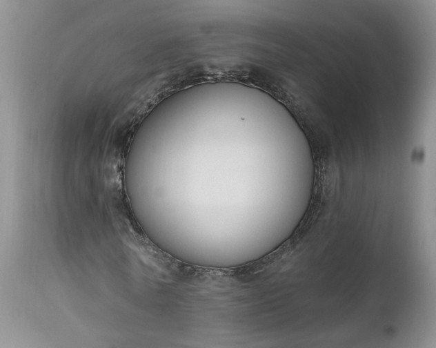 X0000112520770200908311357
