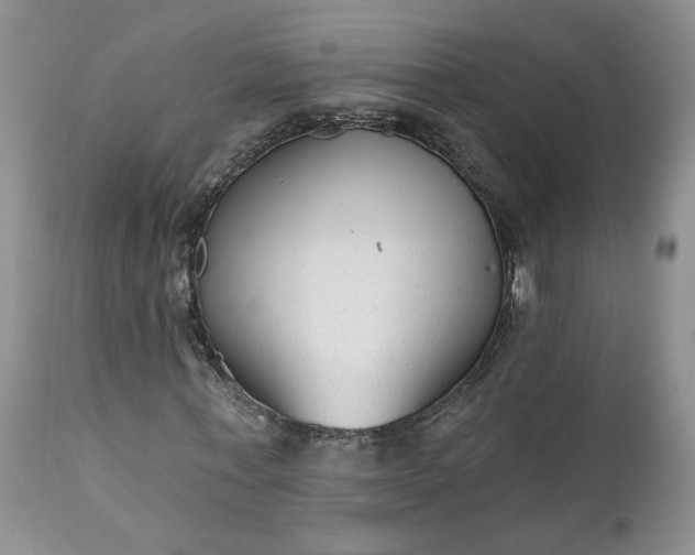 X0000112520771200908311357