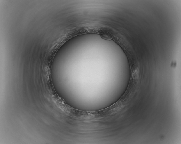 X0000112520772200908311356