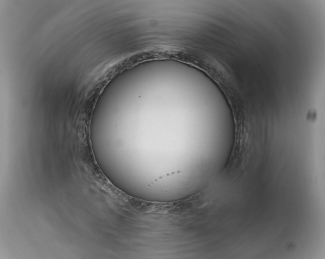 X0000112520773200908311356