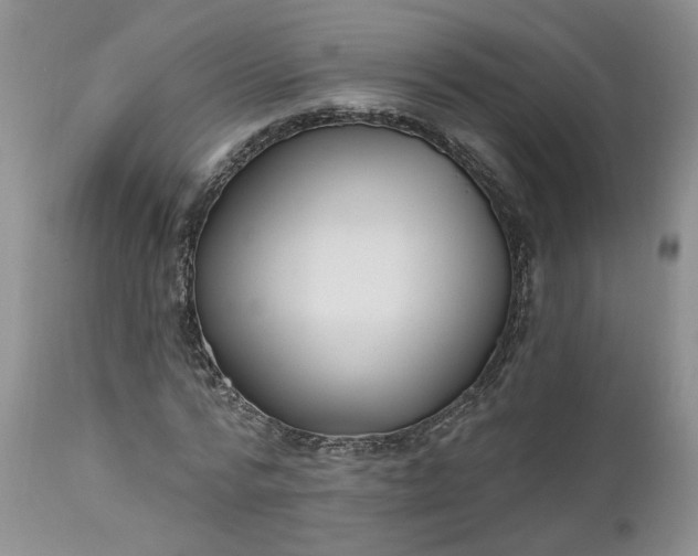 X0000112520776200908311356
