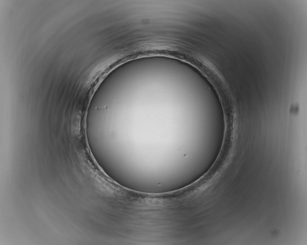 X0000112520777200908311356