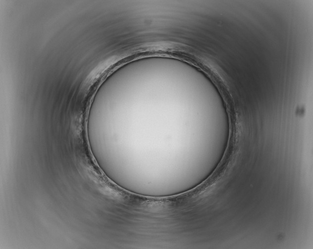 X0000112520778200908311356