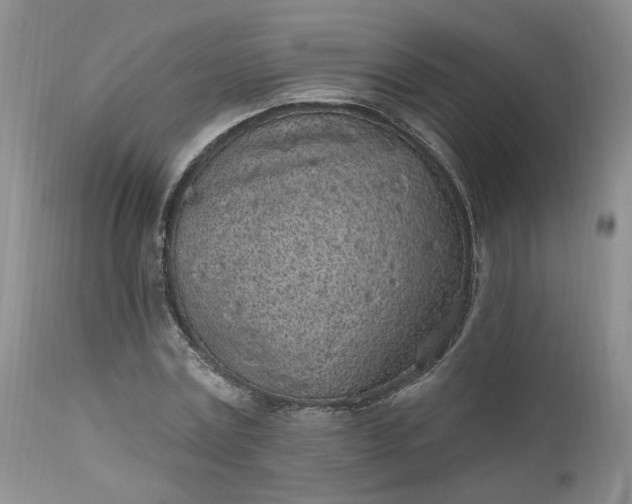 X0000112520779200908311356