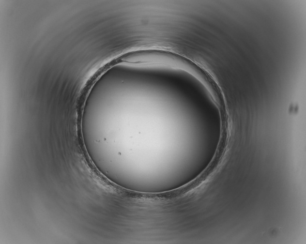 X0000112520781200908311356