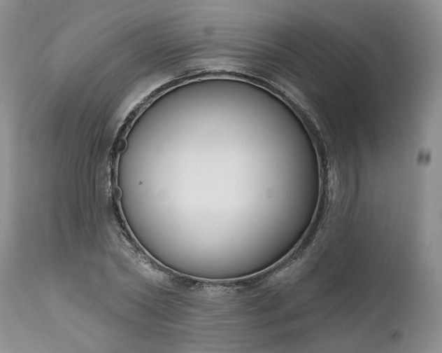 X0000112520782200908311356