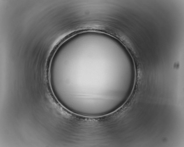 X0000112520784200908311356