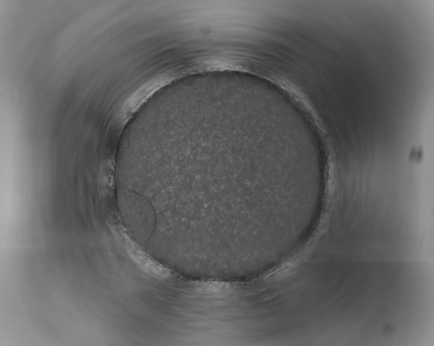 X0000112520785200908311356