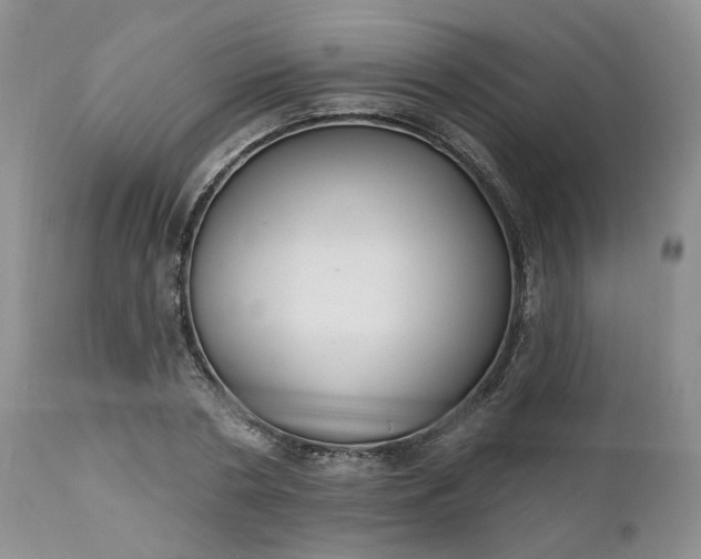 X0000112520786200908311356