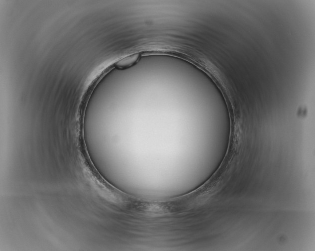 X0000112520787200908311356