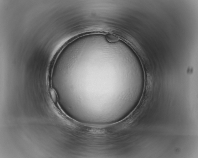 X0000112520788200908311356