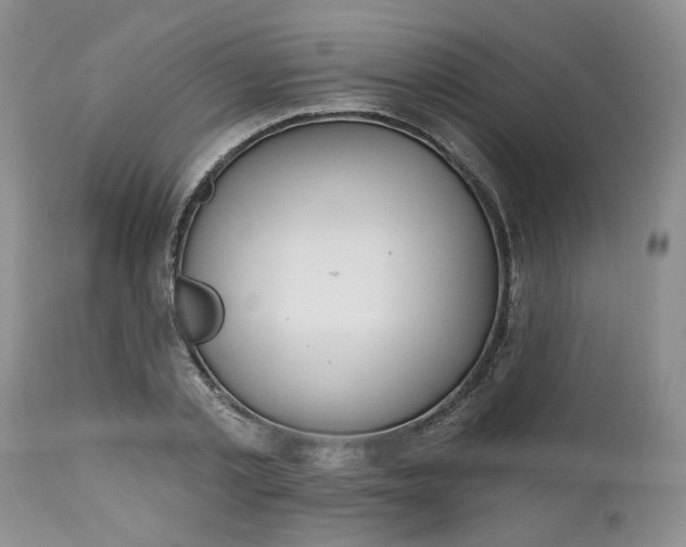 X0000112520789200908311356