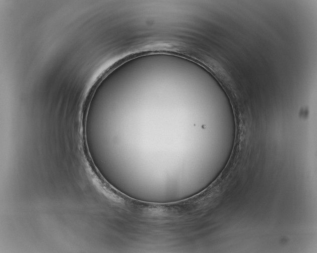 X0000112520792200908311356
