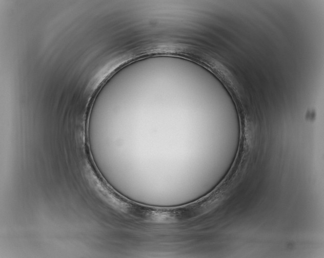 X0000112520794200908311356
