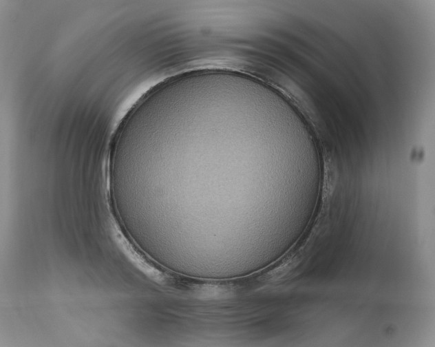 X0000112520796200908311356