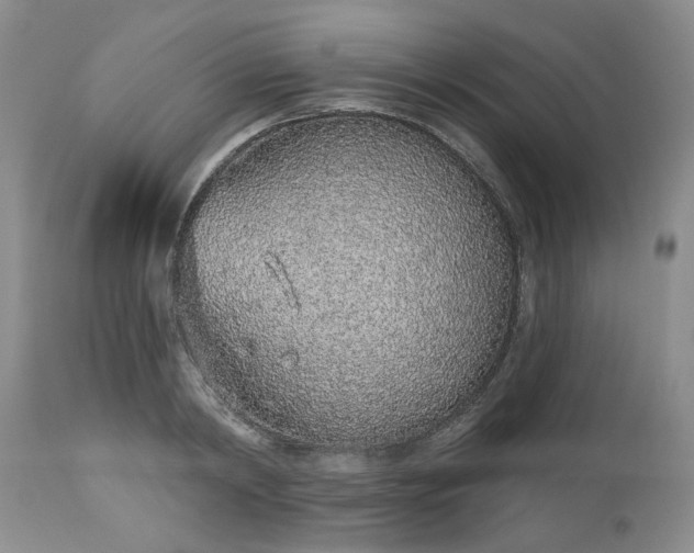 X0000112520798200908311356
