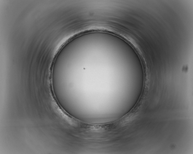 X0000112520799200908311356
