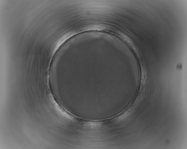 X0000112520802200908311356