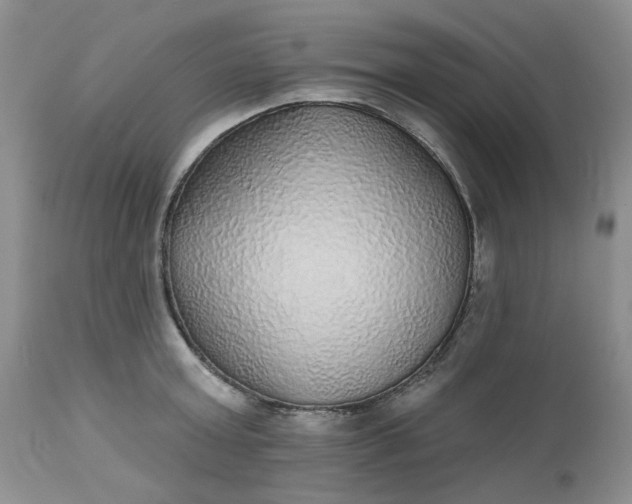 X0000112520803200908311356