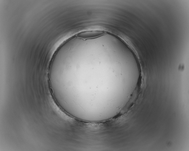 X0000112520805200908311356