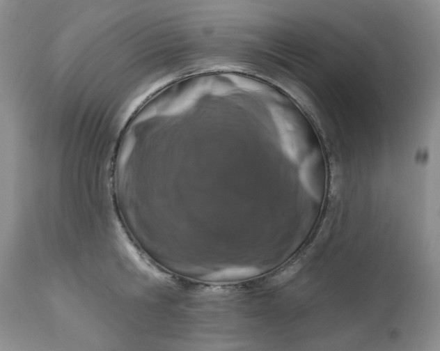 X0000112520806200908311356