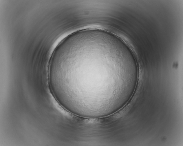 X0000112520808200908311356