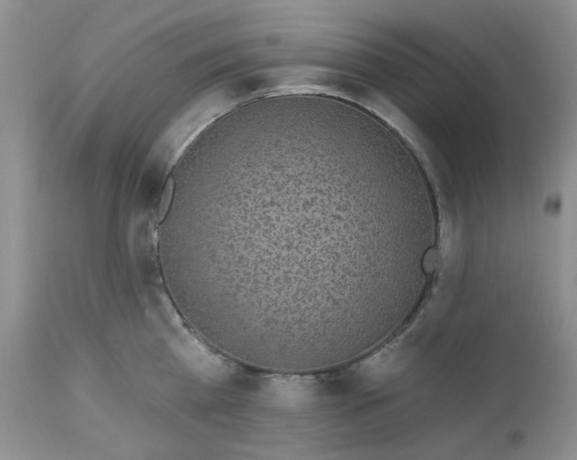 X0000112520809200908311356