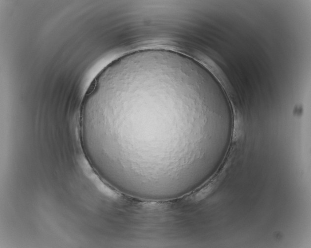 X0000112520812200908311356