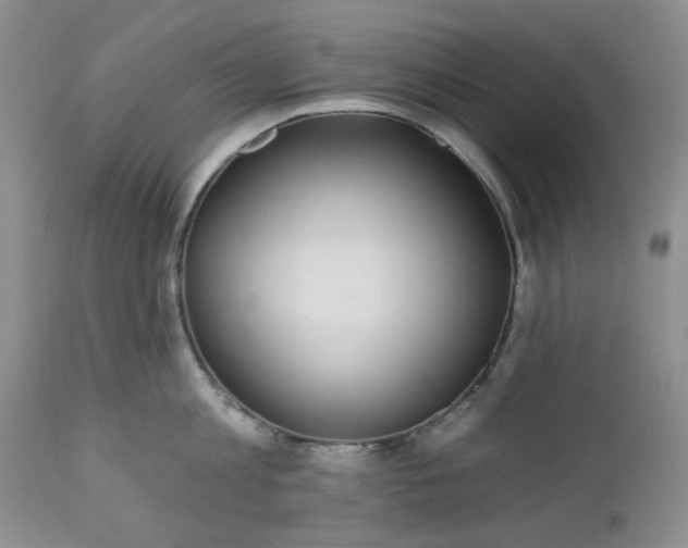X0000112520813200908311356