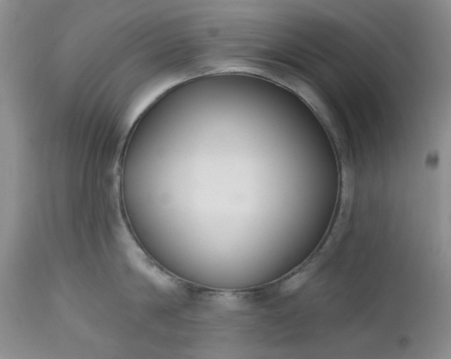 X0000112520814200908311356