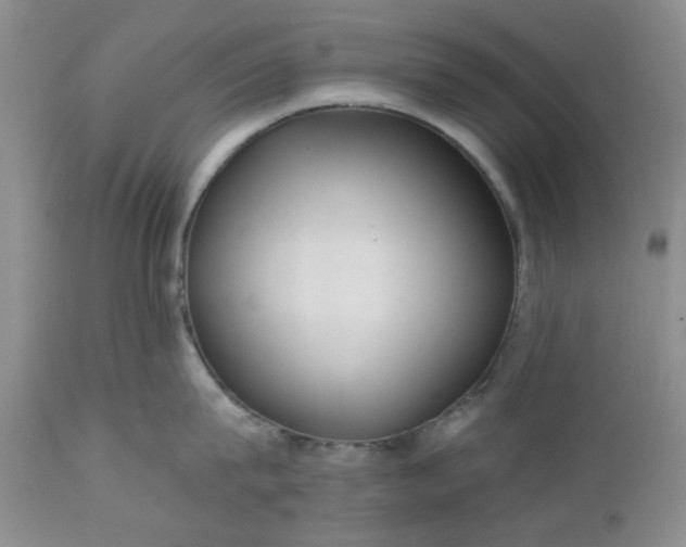 X0000112520815200908311356