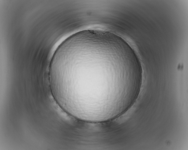 X0000112520816200908311356