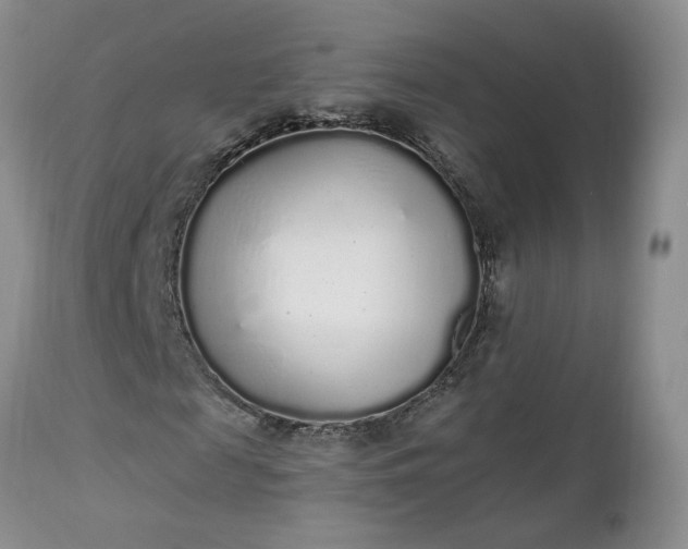 X0000112520817200908311355