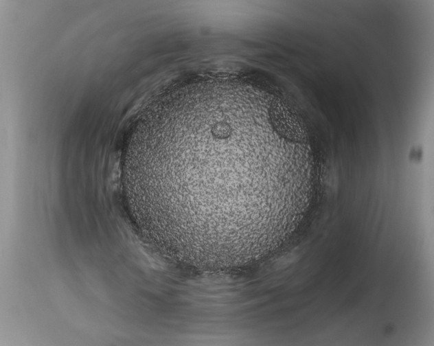 X0000112520818200908311355